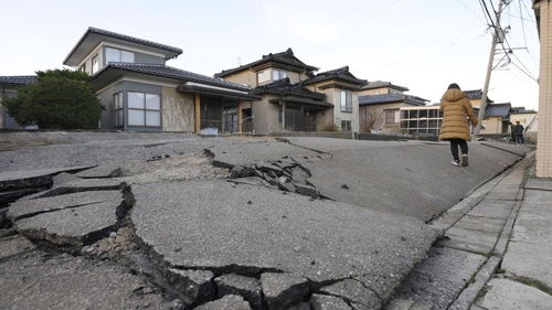 青海玛多县地震死亡人数及其影响