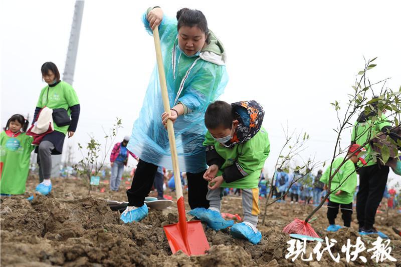 救护车停田里摘柑橘，一个别样的故事