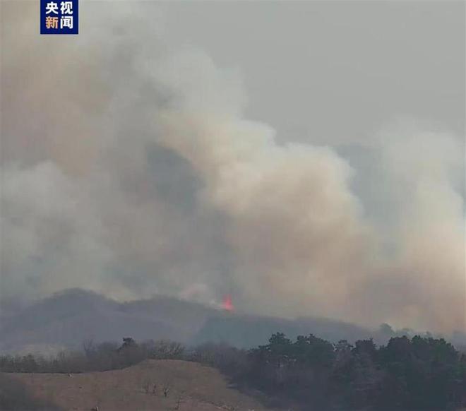 天水一地发生山火，灾难背后的挑战与应对