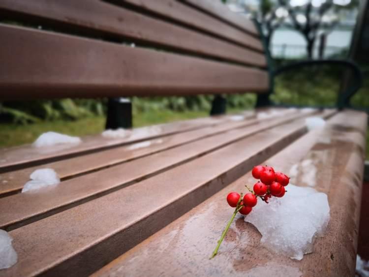 上海或迎初雪，期待与惊喜交织的季节