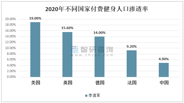 2025正版资料免费公开+Gold58.159_反馈总结和评估