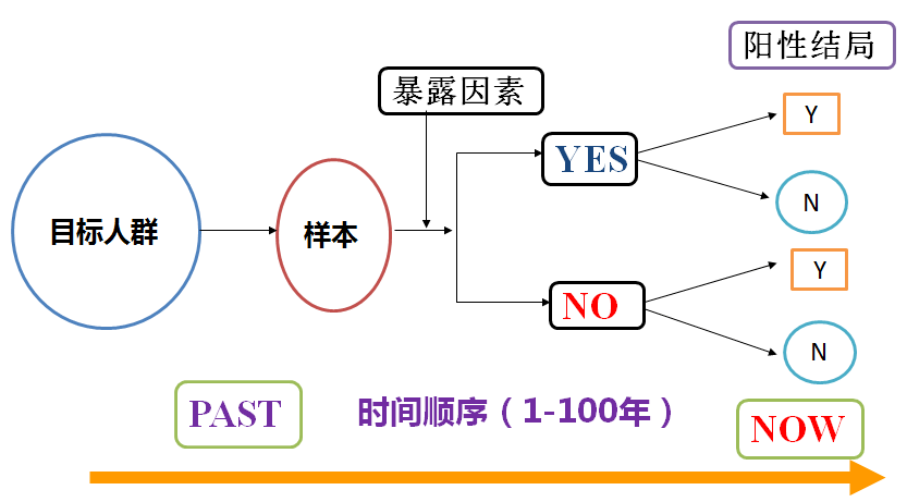 2025年天天开好彩资料56期+创新版31.659_全新精选解释落实