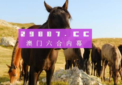 澳门管家婆-肖一码+创新版68.571_反馈记录和整理