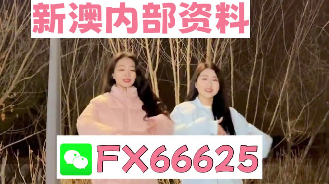 管家婆一码一肖最准资料最完整+FHD62.912_反馈内容和总结