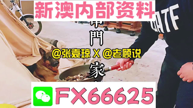 澳门管家婆+免费版78.983_明确落实