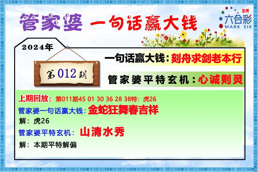 管家婆一肖一码精准资料+VE版20.33_反馈调整和优化