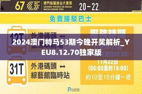 2025年澳门今晚开特马+X版74.504_反馈总结和评估