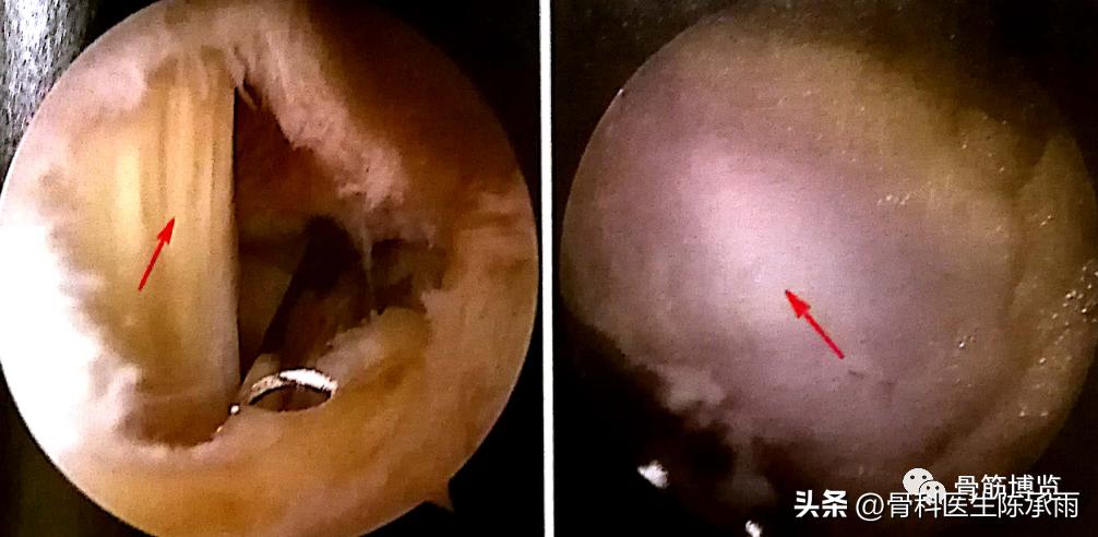 综合快报 第8页