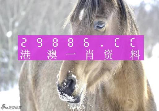 澳门平特一肖100准确+旗舰版43.692_反馈实施和执行力