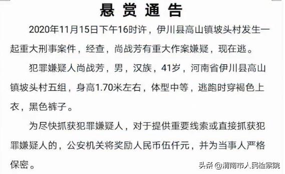 女童在高山走失，父亲悬赏百万寻人——一场关于爱与希望的寻找