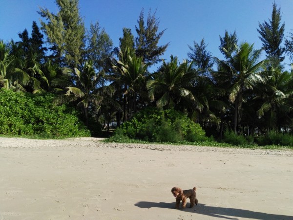 老人在海南旅游溺亡事件，深度分析与反思